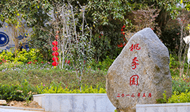 黎明自考综合校园风景